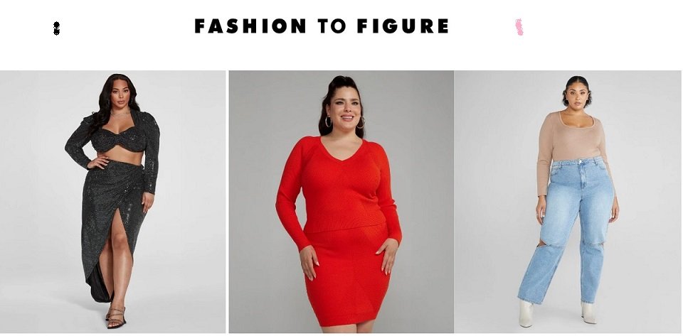 Fashion to Figure Login